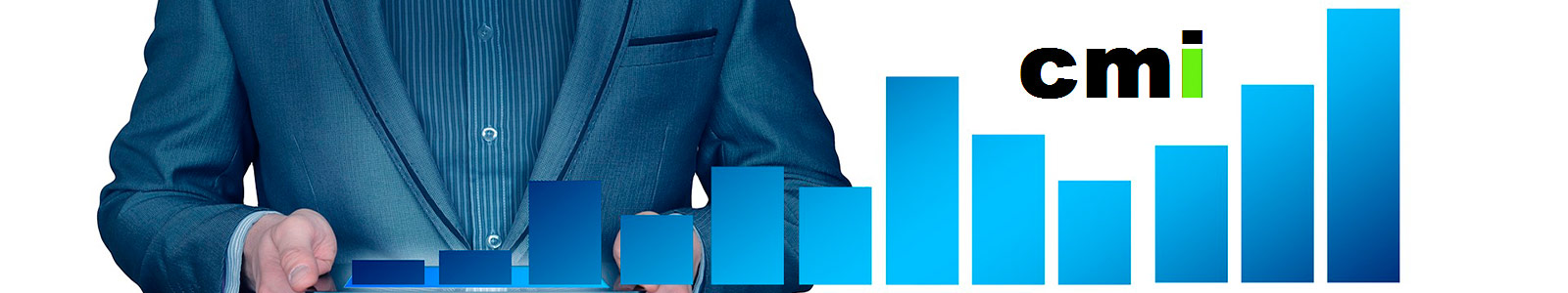 Inisoft CMI. Cuadro de Mando Integral para Gestion Empresarial.
