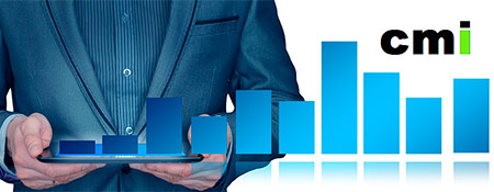 Inisoft CMI. Cuadro de Mando Integral para Gestion Empresarial.